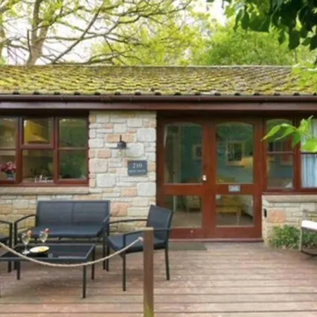 Rebels Retreat - 2-bed Nr & Hayle Chalet